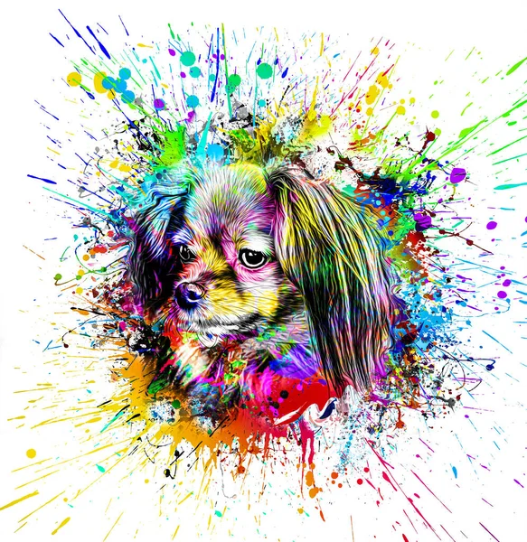 Abstrakte Farbige Hundeschnauze Isoliert Auf Buntem Hintergrund Farbige Kunst — Stockfoto