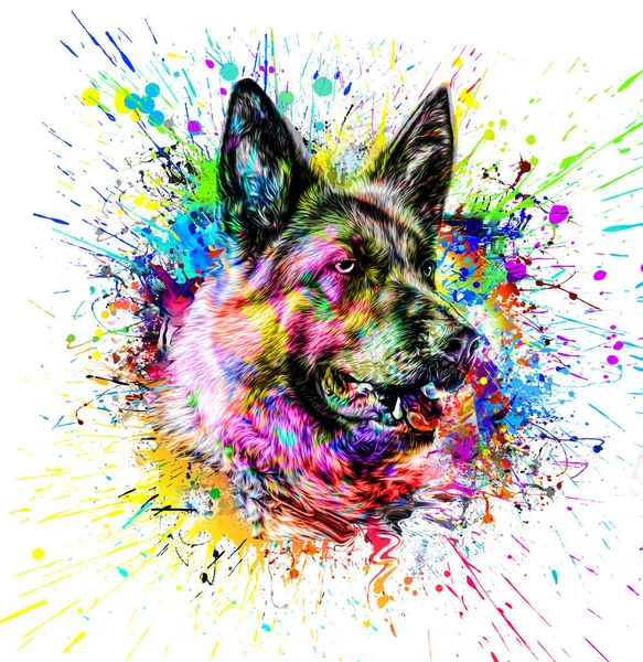 Färgglada Konstnärlig Hund Mynning Med Ljusa Färg Stänk Vit Bakgrund — Stockfoto