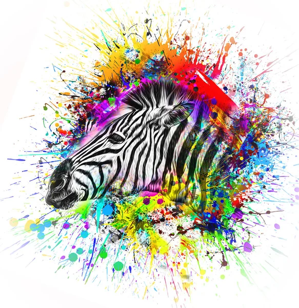 Kolorowy Kaganiec Zebry Artystycznej Jasnymi Rozpryskami Farby Kolor Sztuki — Zdjęcie stockowe