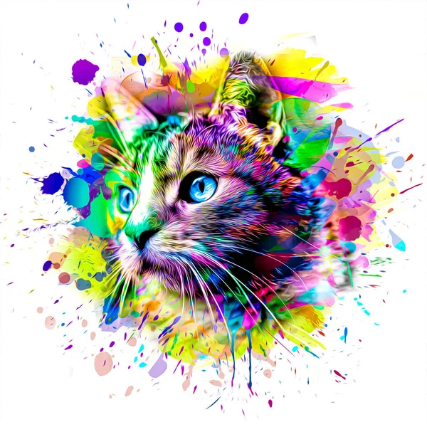 Abstrakcyjny Kolorowy Kot Pysk Ilustracja Projekt Graficzny Koncepcja Kolor Sztuka — Zdjęcie stockowe