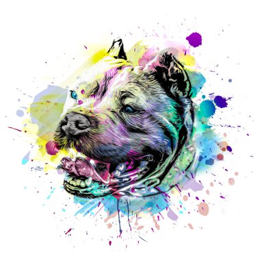 soyut renkli köpek ağızlığı renkli arkaplanda izole edildi