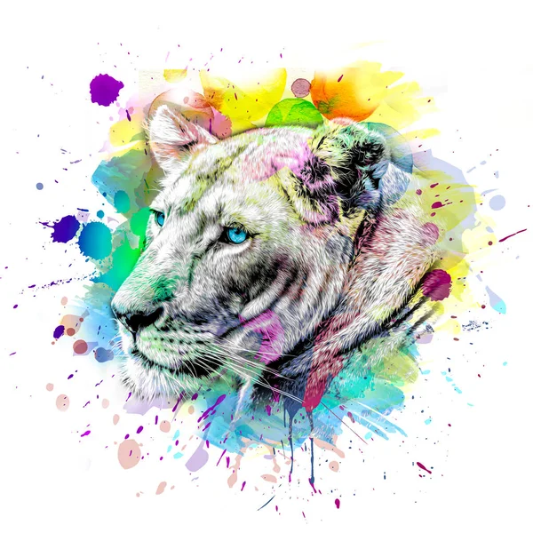Illustration Abstraite Museau Lion Coloré Concept Conception Graphique — Photo