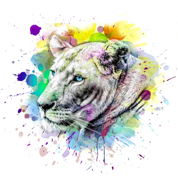 abstract colorful lion muzzle illustration, graphic design concept