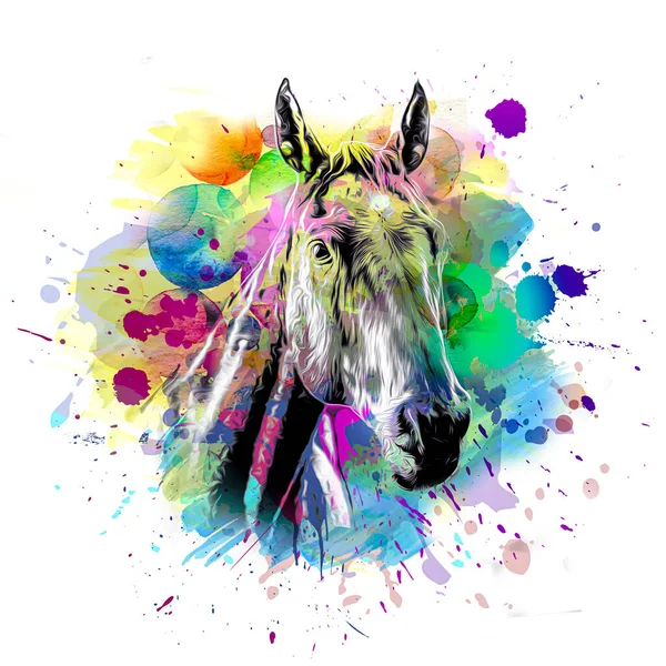 cute horse head with creative abstract elements on white background color art