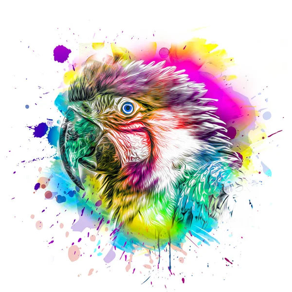 Abstrakte Farbige Papagei Mit Bunten Farbspritzern Auf Hintergrundfarbe Kunst — Stockfoto