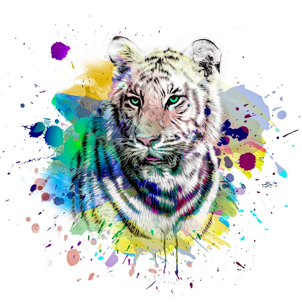 Fond Coloré Abstrait Lumineux Avec Tigre Peinture Éclaboussures Art Couleur — Photo