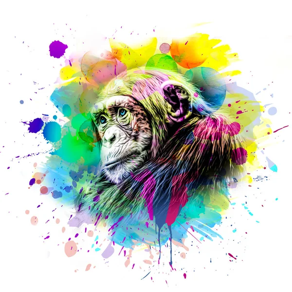白い背景に明るいペイントスプラッターのカラフルな芸術的な猿の銃口 カラーアート — ストック写真