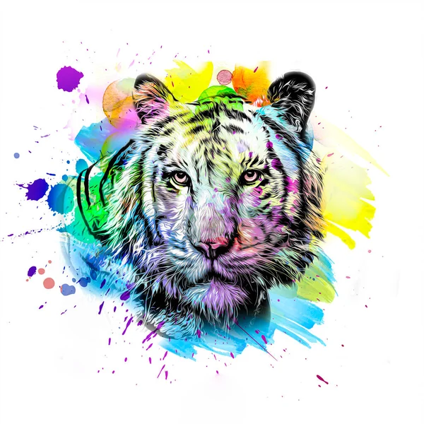Jasne Abstrakcyjne Kolorowe Tło Tygrysem Farba Chlapie Kolor Sztuki — Zdjęcie stockowe