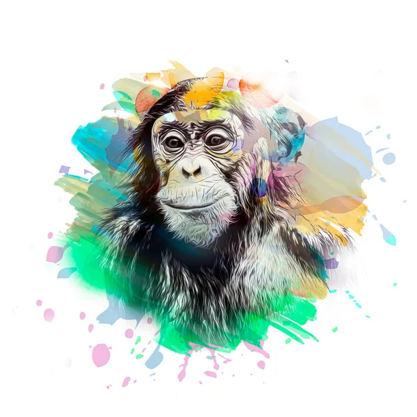 Colorido Macaco Artístico Focinho Com Respingos Tinta Brilhante Arte Cor — Fotografia de Stock