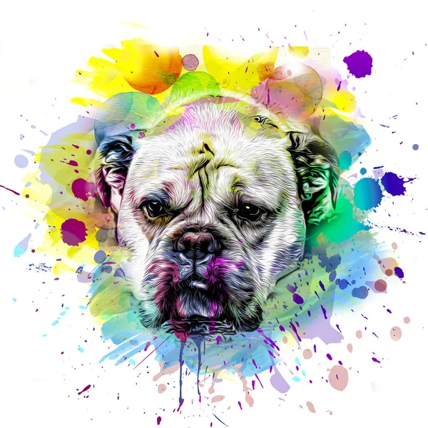 Abstrakte Farbige Hundeschnauze Isoliert Auf Buntem Hintergrund — Stockfoto