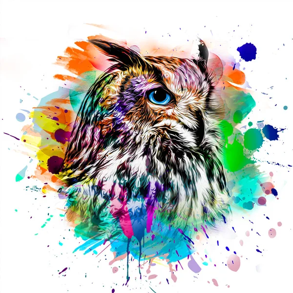 colorful artistic owl with bright paint splatters on white background.