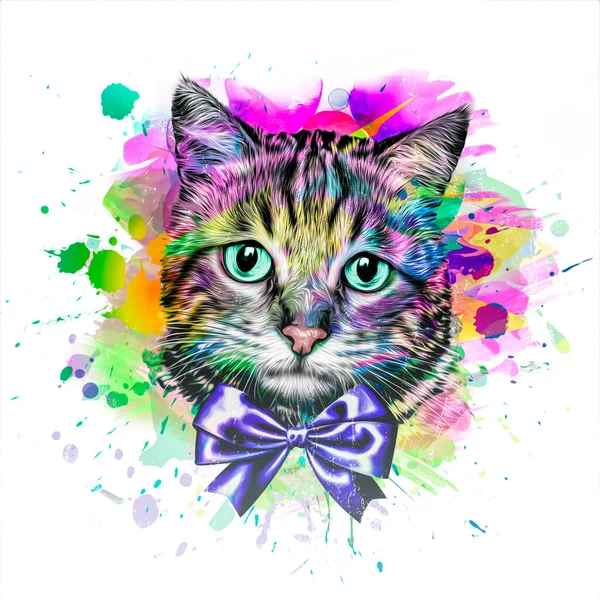 Abstracto Colorido Gato Hocico Ilustración Diseño Gráfico Concepto Color Arte —  Fotos de Stock