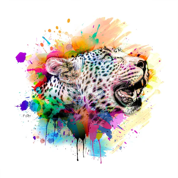 Cabeza Leopardo Con Elementos Abstractos Creativos Sobre Fondo Colorido —  Fotos de Stock