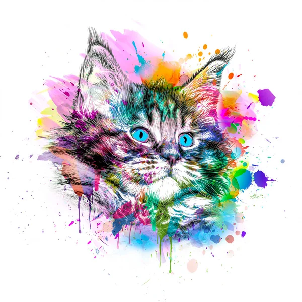 Абстрактная Красочная Кошачья Морда Иллюстрация Графический Дизайн Концепция Цветового Искусства — стоковое фото