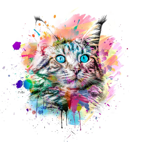 Abstracto Colorido Gato Hocico Ilustración Diseño Gráfico Concepto —  Fotos de Stock