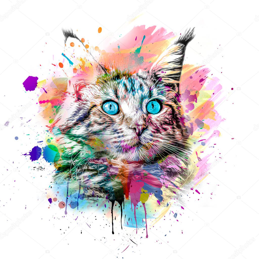 abstract colorful cat muzzle illustration, graphic design concept