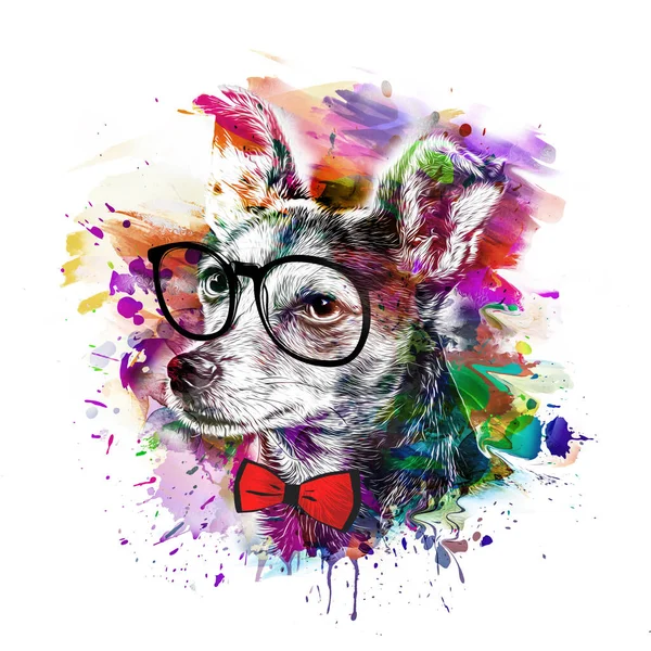 abstract colored dog in glasses muzzle isolated on colorful background color art