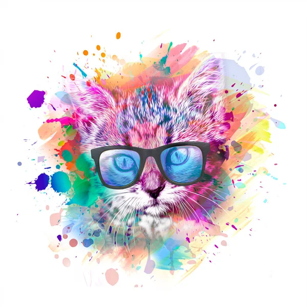 Kleurrijke Artistieke Kitty Muilkorf Met Bril Heldere Verf Splatters Witte — Stockfoto