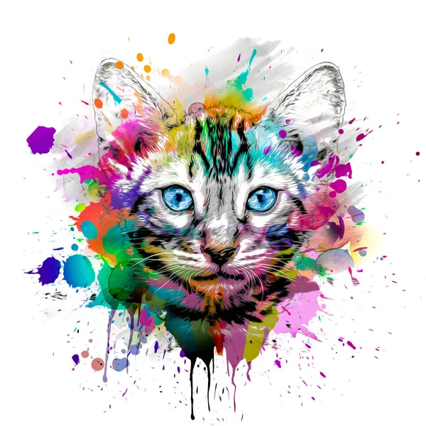 Abstrakt Färgglada Katt Mynning Illustration Grafisk Design Koncept Färg Konst — Stockfoto