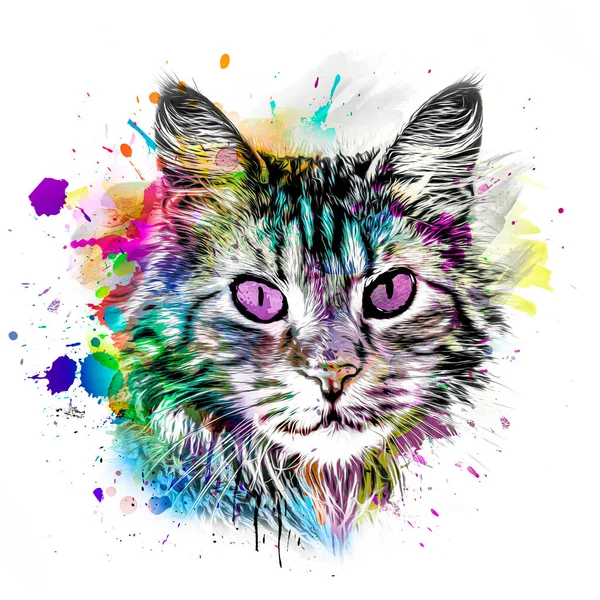 Illustration Abstraite Museau Chat Coloré Conception Graphique Concept Art Couleur — Photo