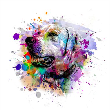 Beyaz arkaplan renk sanatında yaratıcı renkli soyut elementlere sahip köpek kafası