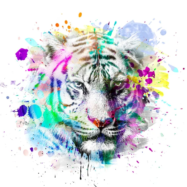 Graffiti Wall Tiger Color Art — ストック写真