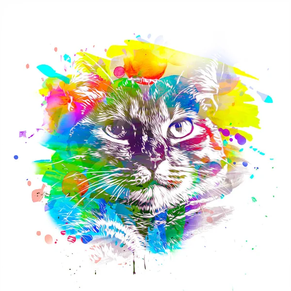 추상적으로 고양이 그래픽 디자인 — 스톡 사진