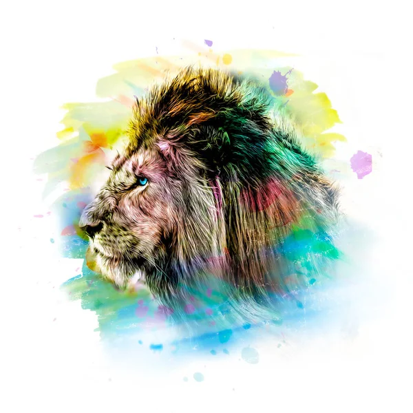 Lion Head Colorful Creative Abstract Element White Background Color Art — Stock Photo, Image