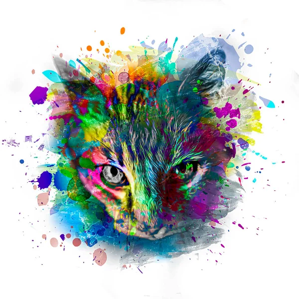 Abstracte Kleurrijke Kat Muilkorf Illustratie Grafisch Ontwerp Concept Kleur Kunst — Stockfoto