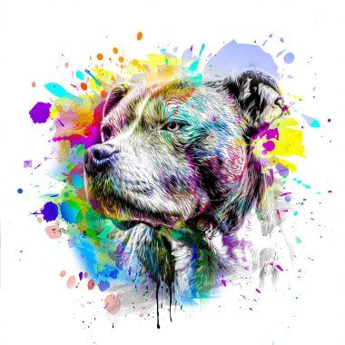 soyut renkli köpek ağızlığı renkli arkaplan renk sanatında izole edildi
