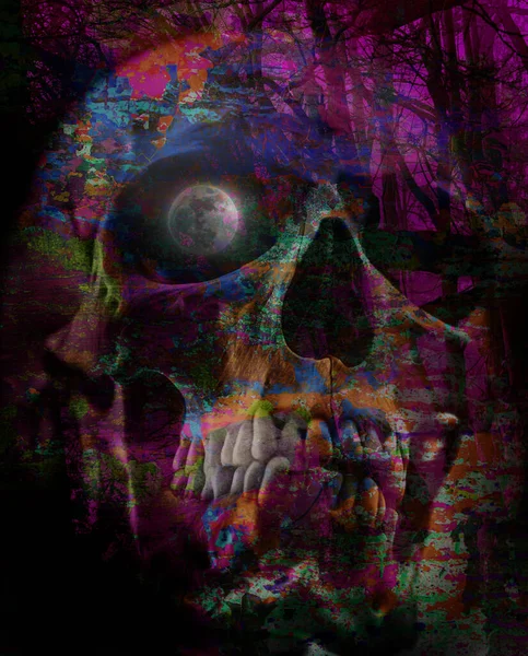 Abstract Colored Artistic Skull Graphic Design Concept Bright Grunge Colorful — Stock Photo, Image