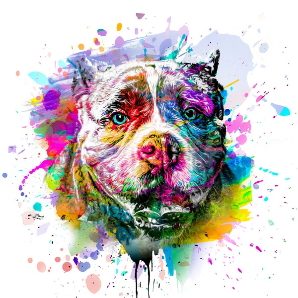 abstract colored dog muzzle isolated on colorful background color art