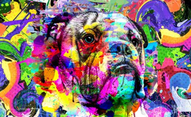 soyut renkli köpek ağızlığı renkli arkaplan renk sanatında izole edildi
