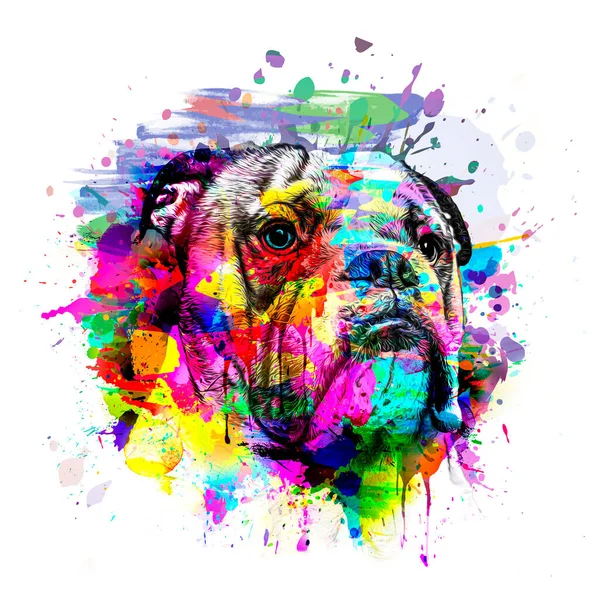 抽象的な色の犬のパズルはカラフルな背景の色の芸術に隔離され — ストック写真