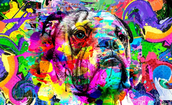 Abstract Colored Dog Muzzle Isolated Colorful Background Color Art — Stock Photo, Image