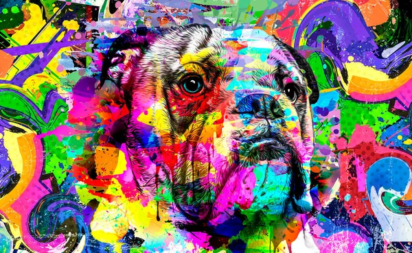 abstract colored dog muzzle isolated on colorful background color art