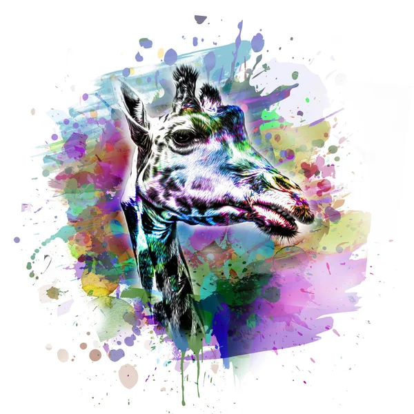 Giraffe Head Creative Abstract Element White Background Color Art — ストック写真