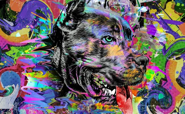Abstrakte Farbige Hundeschnauze Isoliert Auf Buntem Hintergrund — Stockfoto