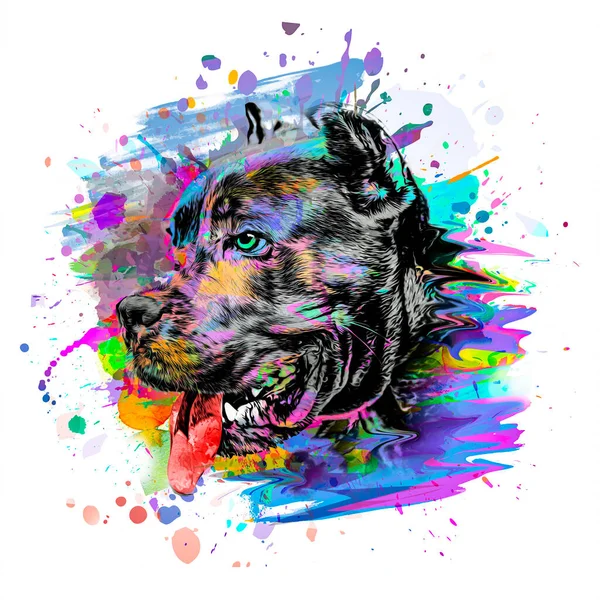 Abstract Colored Dog Muzzle Isolated Colorful Background — Stock Photo, Image