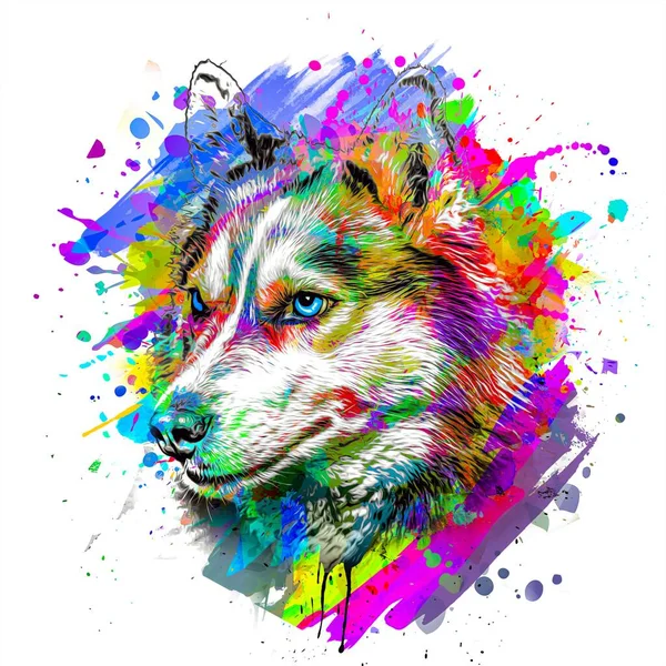 Haski Dog Head Creative Colorful Abstract Elements White Background - Stok İmaj