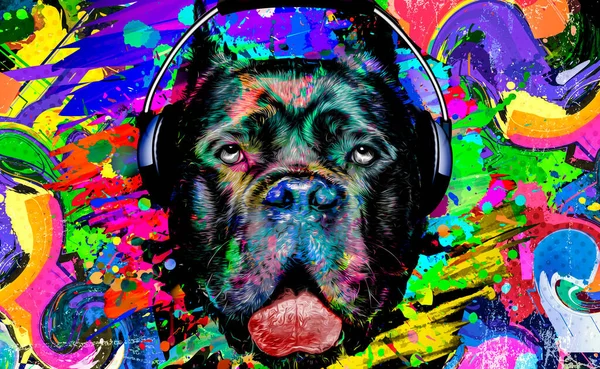 Abstract Gekleurde Hond Muilkorf Geïsoleerd Kleurrijke Achtergrond Kleur Kunst — Stockfoto