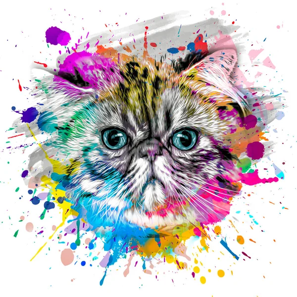 Abstract Colorful Cat Muzzle Illustration Graphic Design Concept Art — Foto de Stock