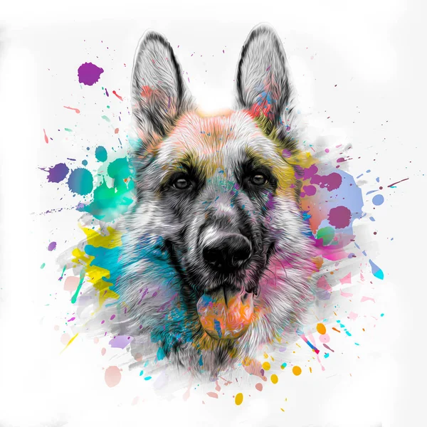 German Shepherd Dog Head Creative Abstract Elements Color Art — Stock Fotó