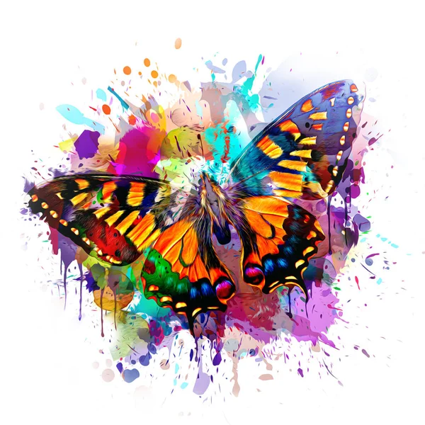 Fondo Colorido Abstracto Con Mariposa — Foto de Stock