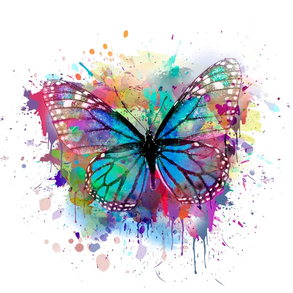 Fond Coloré Abstrait Avec Papillon Image En Vente