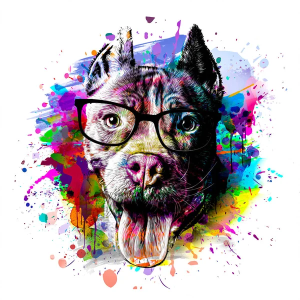 abstract colored dog muzzle isolated on colorful background color art