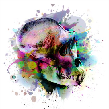 soyut renkli sanatsal kafatası, grafik tasarım konsepti, parlak renkli sanat