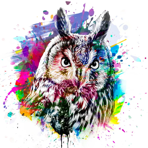 colorful artistic owl with bright paint splatters on white background color art