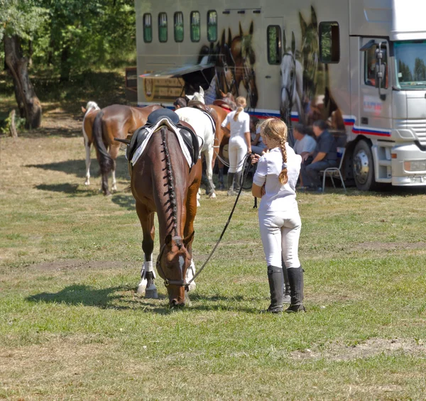 Meisje en paard. — Stockfoto