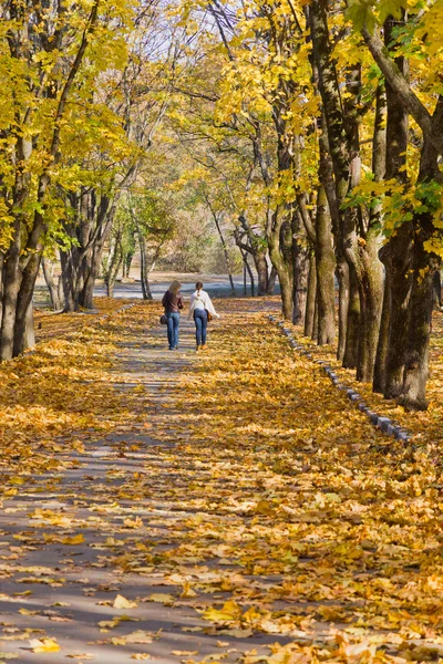 Procházka v podzimním parku. Stock Fotografie